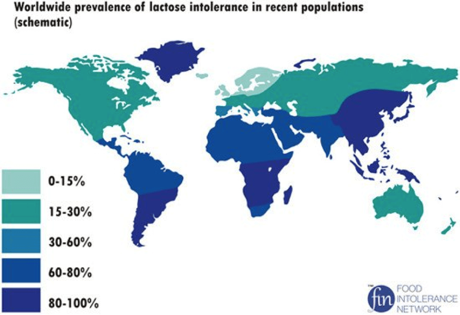 Lactose-intolerantie